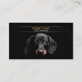 Stylish pet care, pet sitting, dog walker, walking business card