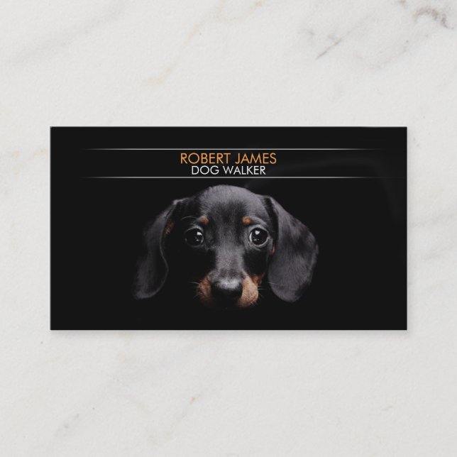 Stylish pet care, pet sitting, dog walker, walking business card (Front)