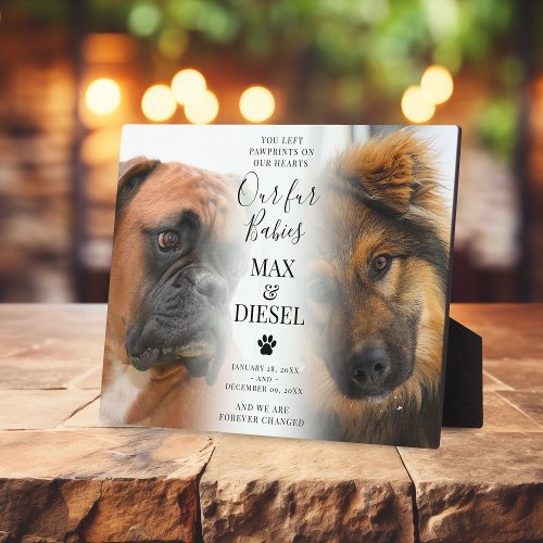 Stylish Pet Memorial 2 Dog Photo Plaque