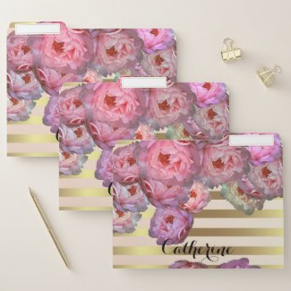 Stylish Pink Peonies On Gold Horizontal Stripes File Folder