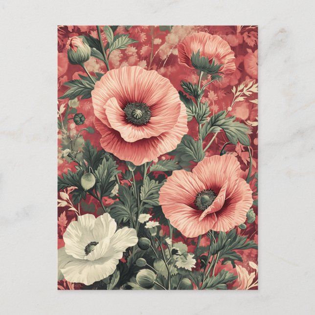 Stylish Pink White Poppies Floral Art Postcard (Front)