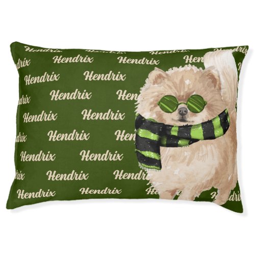 Stylish Pomeranian in Green Scarf with Dogs Name Pet Bed