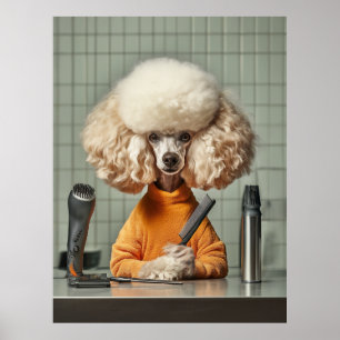 Stylish Poodle Grooming Session Poster