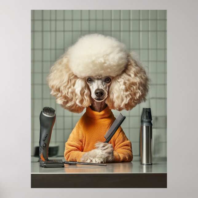 Stylish Poodle Grooming Session Poster (Front)