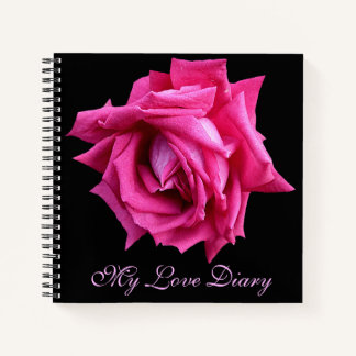 Stylish pretty hot pink rose flower Valentine Notebook