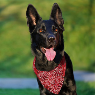 Stylish Red Western Paisley Dog Pet Bandana Collar