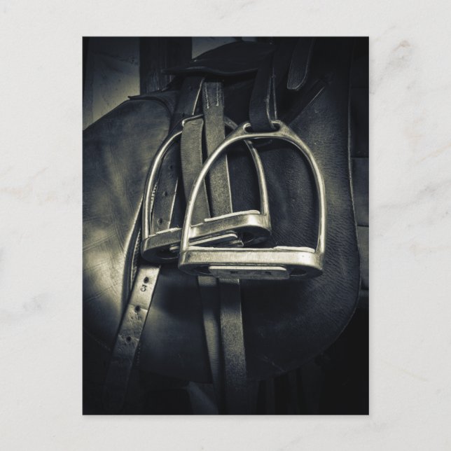 Stylish Silver Stirrups on English Riding Saddle Postcard (Front)