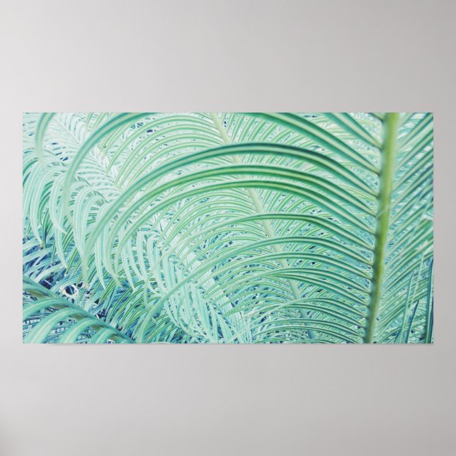 Stylish Soft Green Plant Palm Leaves Poster (Front)