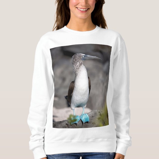 Stylish T-Shirt - Perfect for Everyday Wear Sweatshirt (Front)