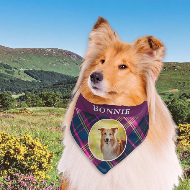 Stylish Tartan Plaid Custom Dog Photo Personalized Pet Bandana Collar (A tartan bandana for your dog in purple, cream, pink and navy blue, with custom photo and pet's name)