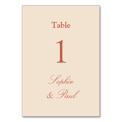 Stylish Terracotta Straw Beige Table Number