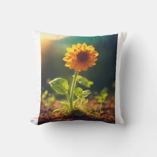 Stylish Throw Pillow Collection 