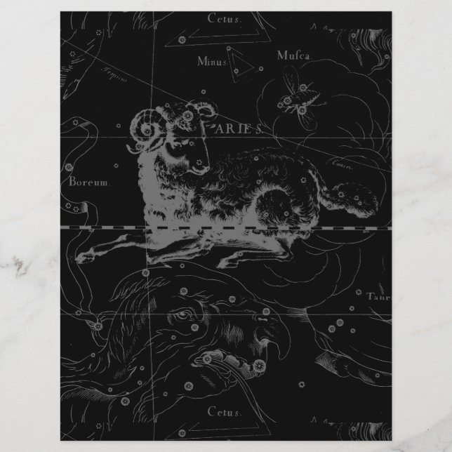 Stylish Vintage Aries Constellation by Hevelius (Front)