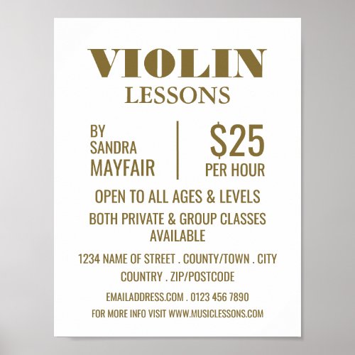Stylish Violin Lessons Advertising Poster