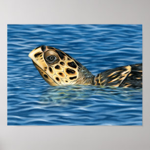 Stylized Basking Hawksbill Sea Turtle Poster