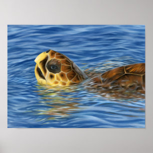Stylized Basking Loggerhead Sea Turtle Poster