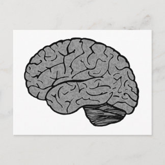 Stylized Brain Postcard