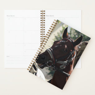 Stylized Brown Horse Smiling Head Sketch Planner