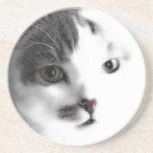 Stylized Cat Face Close-up Stone Coaster
