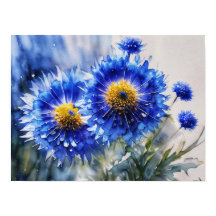 Stylized cornflowers, wild flowers