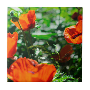 Stylized Garden Red Orange Poppy Flowers Ceramic Tile