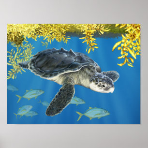 Stylized Kemp's Ridley Sea Turtle with Sargassum Poster