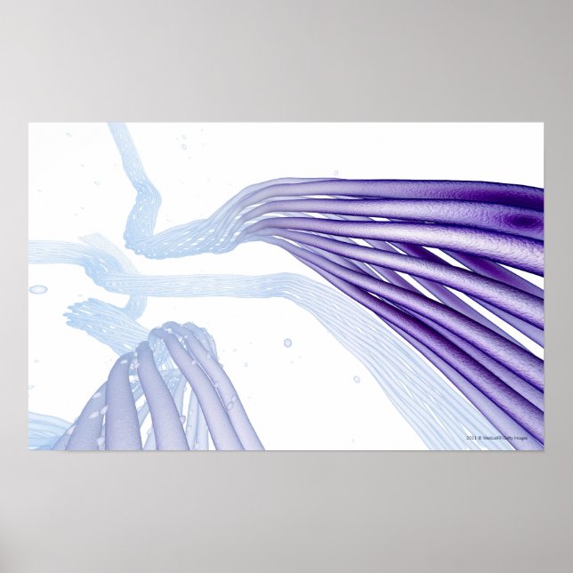 Stylized nerve fibers poster (Front)