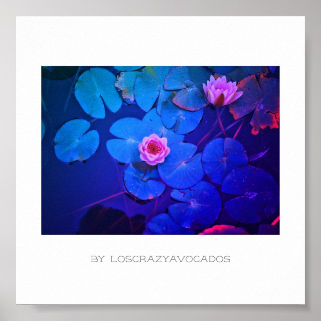 Stylized Pink Water Lily Flowers Plants Poster (Front)