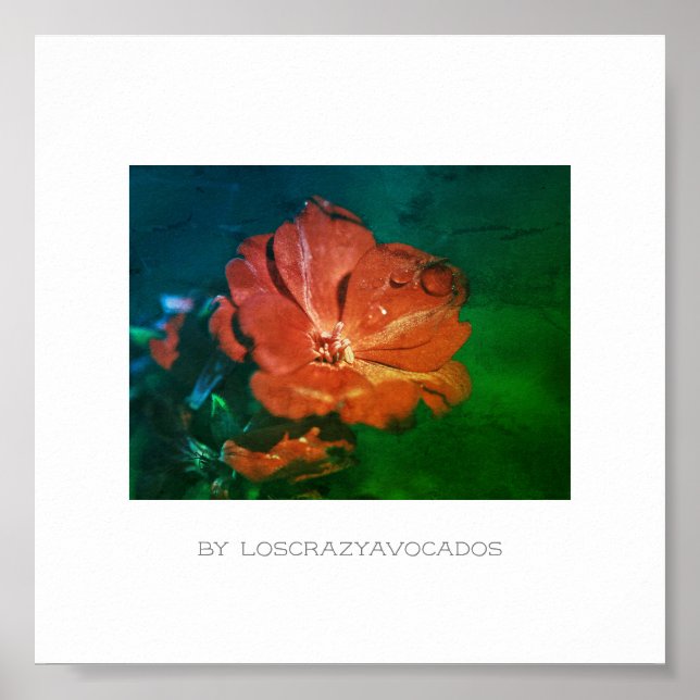 Stylized Red Green Geranium Flower Poster (Front)