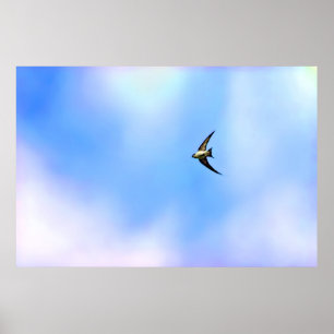 Stylized Swallow soaring Poster