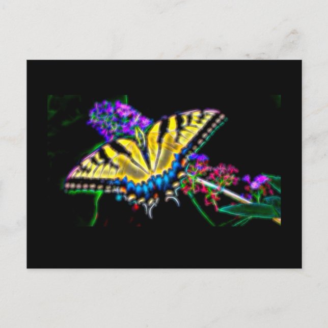 Stylized Swallowtail Butterfly Postcard (Front)