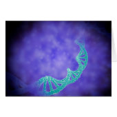 Stylized View Of Strands Of Human DNA (Front Horizontal)