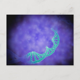 Stylized View Of Strands Of Human DNA Postcard