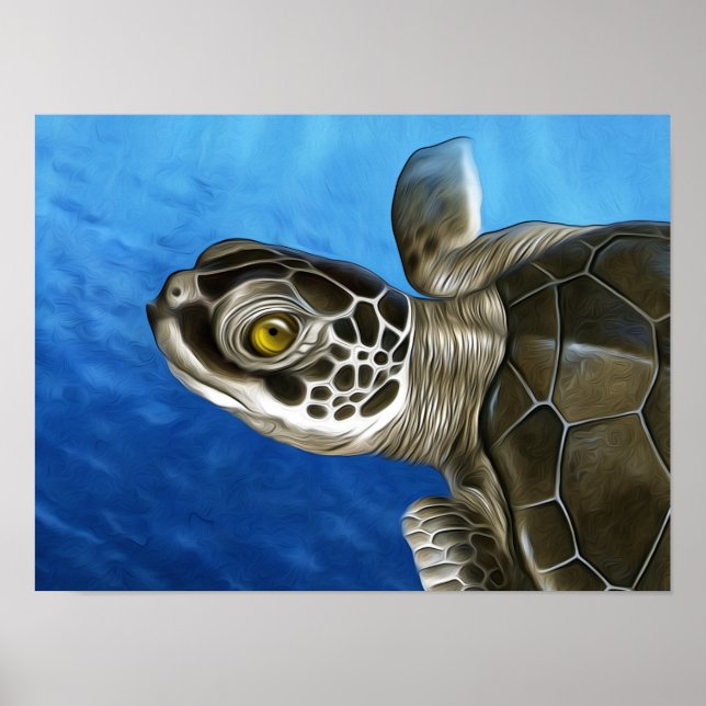 Stylized  Young Green Turtle Poster (Front)