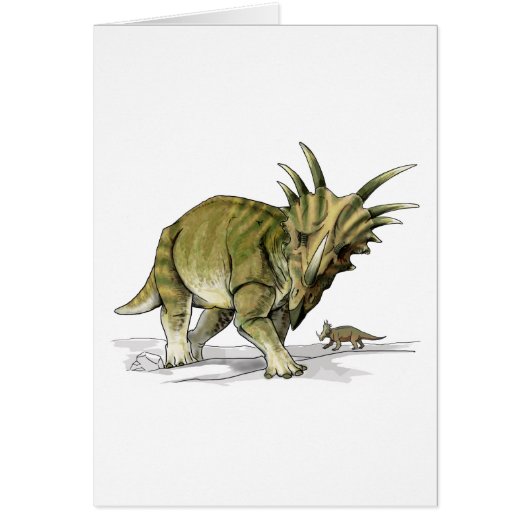 Styracosaurus Cards (Front)