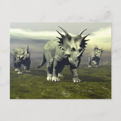 Styracosaurus dinosaurs _ 3D render Postcard