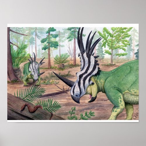 Styracosaurus Print