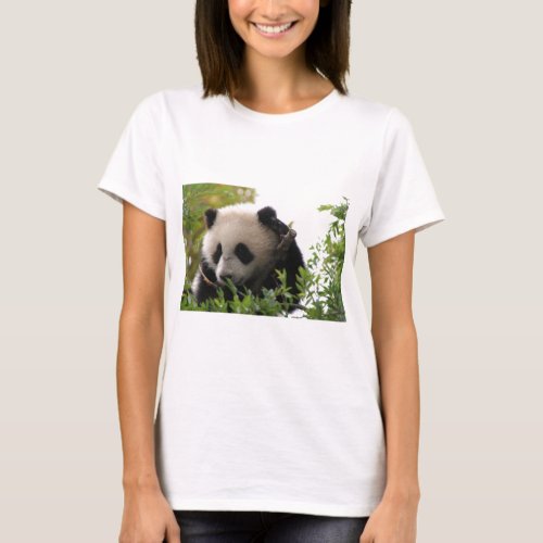 Su Lin giant panda bear cub at the San Diego Zoo T_Shirt