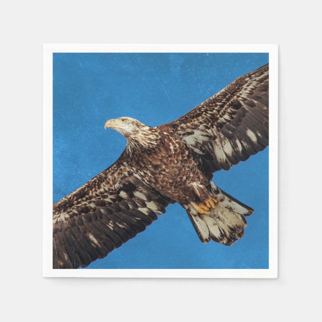 Subadult Bald Eagle in flight Paper Napkins (Front)