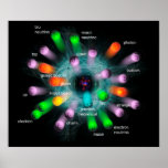 Subatomic Particles Poster at Zazzle