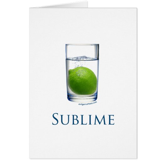 Sublime funny (Front)