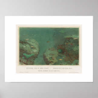 Submarine Rocks With Green Corals Poster(1867) Poster