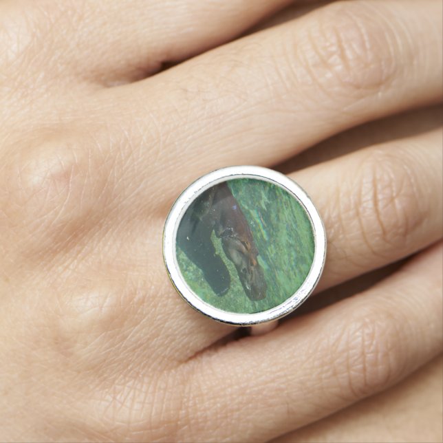 **"Submerged Serenity: A Hippo Swimming Gracefully Ring (In Situ)