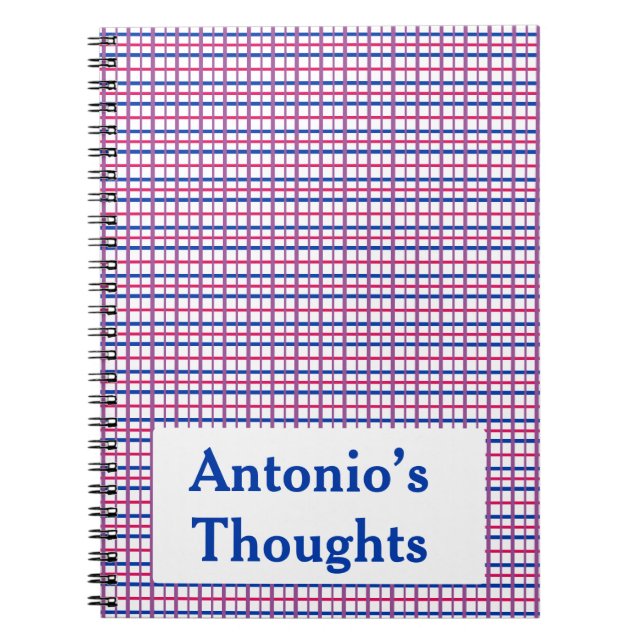 Subtle Bisexual Color Plaid Notebook (Front)