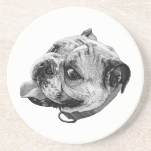 Subtle Pet Detail Coaster