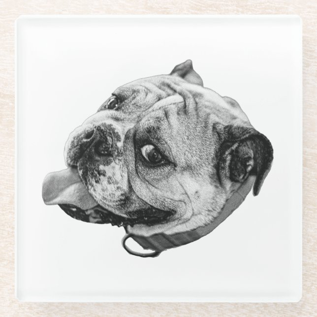 Subtle Pet Detail Glass Coaster (Front)