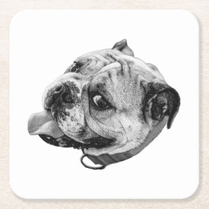 Subtle Pet Detail Square Paper Coaster