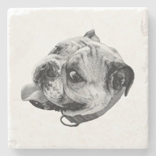 Subtle Pet Detail Stone Coaster
