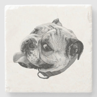 Subtle Pet Detail Stone Coaster