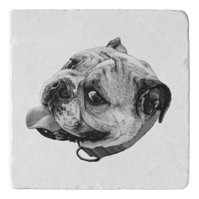 Subtle Pet Detail Trivet (Front)